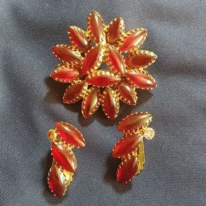 Clip on Earrings & Brooch